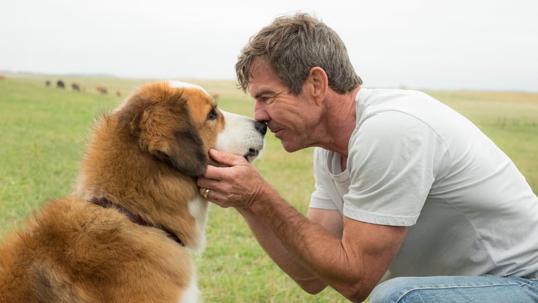 A Dog's Purpose A Dog's Purpose